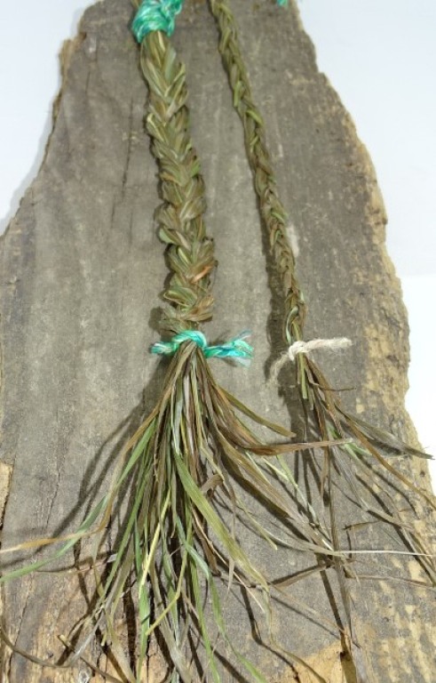 Mariengras ganz - konventionell